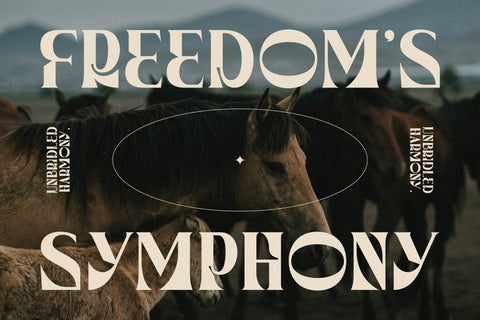 Waflerd - Modern Display Font Font Letterena Studios 