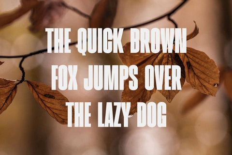 Waldrip - Modern Condensed Sans Font studioalmeera 