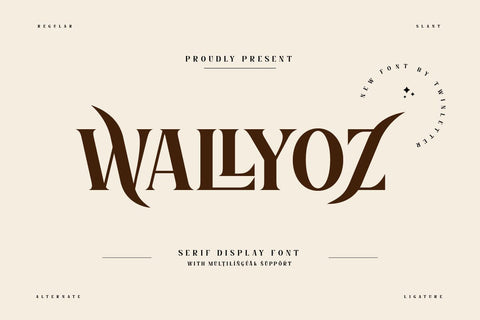 Wallyoz - Serif Display Font Font twinletter 