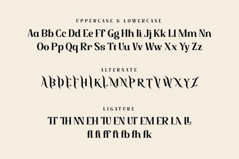 Wallyoz - Serif Display Font Font twinletter 