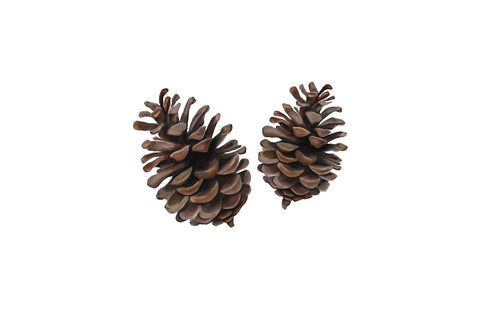 Warm Christmas Wishes Card/Project Creator JPG PNG Sublimation Willow Paige Farms 