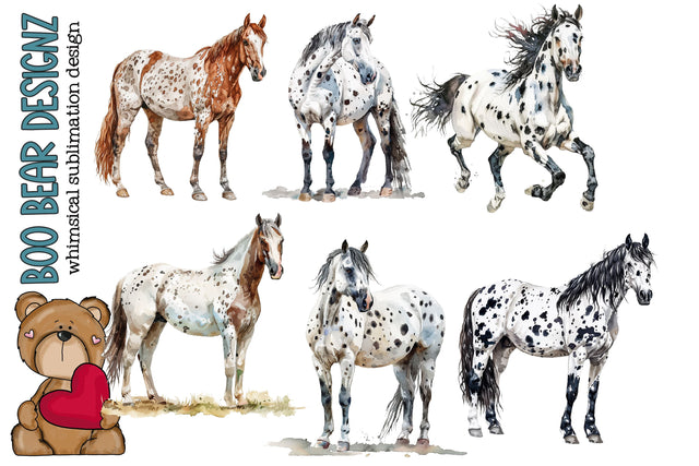 Watercolor Appaloosa Horse Clipart Sublimation Boo Bear Designz 