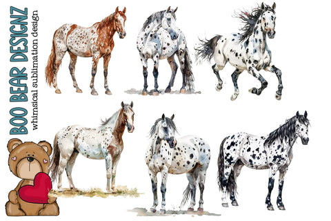 Watercolor Appaloosa Horse Clipart Sublimation Boo Bear Designz 