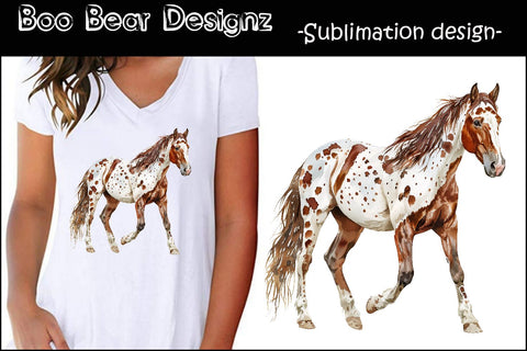 Watercolor Appaloosa Horse Clipart Sublimation Boo Bear Designz 