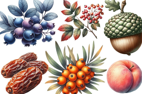 Watercolor Autumn Fruits Clipart Sublimation SVGista 