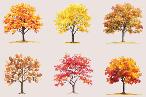 Watercolor Autumn Tree PNG Clipart Sublimation SVGArt 