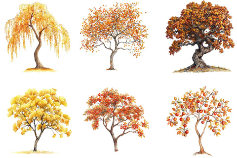 Watercolor Autumn Tree PNG Clipart Sublimation SVGArt 