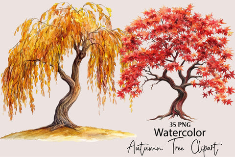 Watercolor Autumn Tree PNG Clipart Sublimation SVGArt 