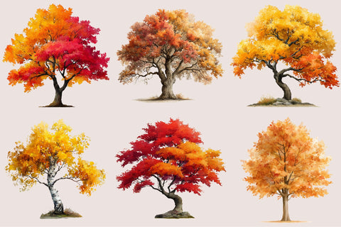 Watercolor Autumn Tree PNG Clipart Sublimation SVGArt 