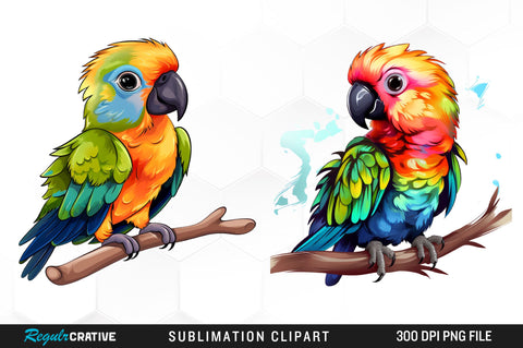 Watercolor Baby Parrot Clipart Bundle Sublimation Regulrcrative 