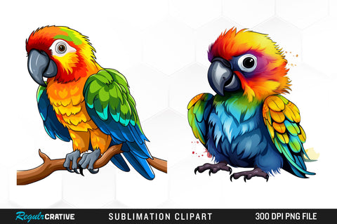 Watercolor Baby Parrot Clipart Bundle Sublimation Regulrcrative 