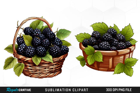 Watercolor Basket Blackberry Clipart Bundle Sublimation Regulrcrative 