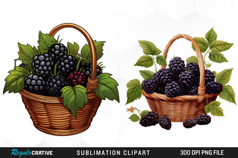 Watercolor Basket Blackberry Clipart Bundle Sublimation Regulrcrative 