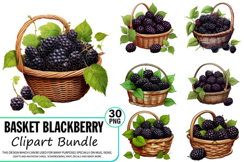 Watercolor Basket Blackberry Clipart Bundle Sublimation Regulrcrative 