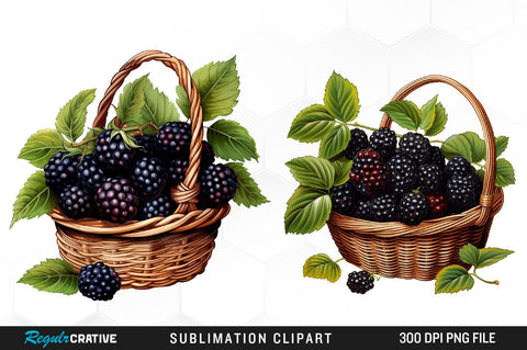 Watercolor Basket Blackberry Clipart Bundle Sublimation Regulrcrative 