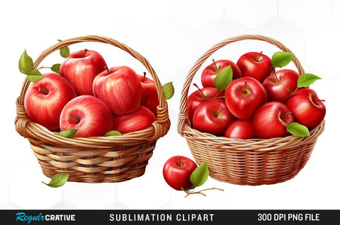 Watercolor Basket Of Apples Clipart Bundle Sublimation Regulrcrative 