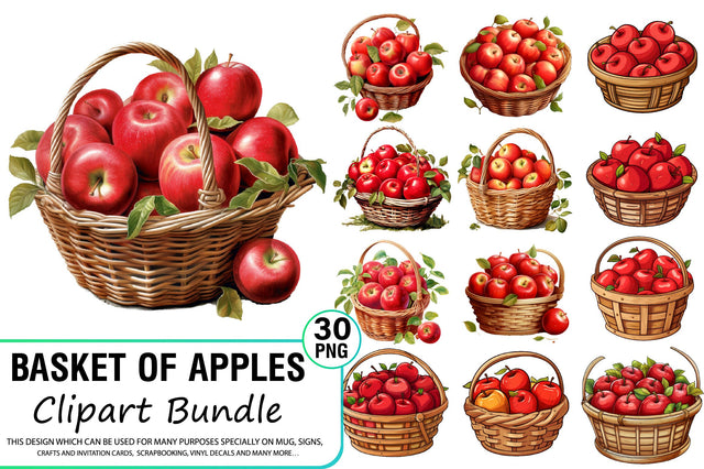 Watercolor Basket Of Apples Clipart Bundle Sublimation Regulrcrative 