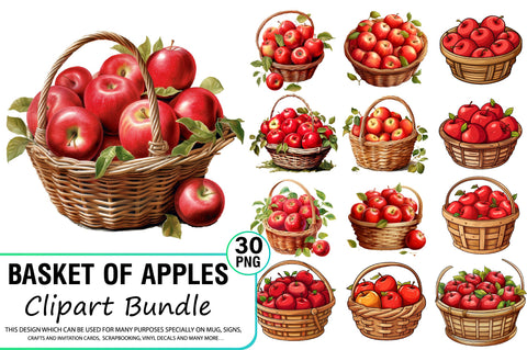 Watercolor Basket Of Apples Clipart Bundle Sublimation Regulrcrative 