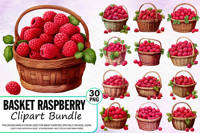 Watercolor Basket Raspberry Clipart Bundle Sublimation Regulrcrative 