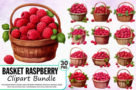 Watercolor Basket Raspberry Clipart Bundle Sublimation Regulrcrative 