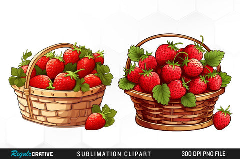 Watercolor Basket Strawberry Clipart Bundle Sublimation Regulrcrative 