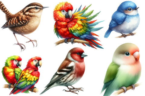 Watercolor Bird Sublimation Sublimation SVGista 