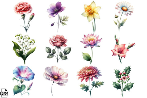 Watercolor Birth Month Flowers Clipart Bundle Printable File Sublimation Creativedesigntee 