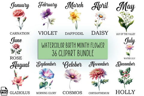 Watercolor Birth Month Flowers Clipart Bundle Printable File Sublimation Creativedesigntee 