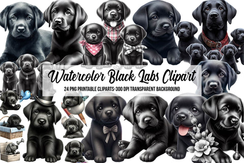 Watercolor Black Labs Clipart Sublimation Rupkotha 