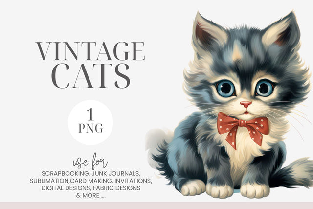 Watercolor Blue Eyed Kitten Clipart PNG Sublimation BijouBay 