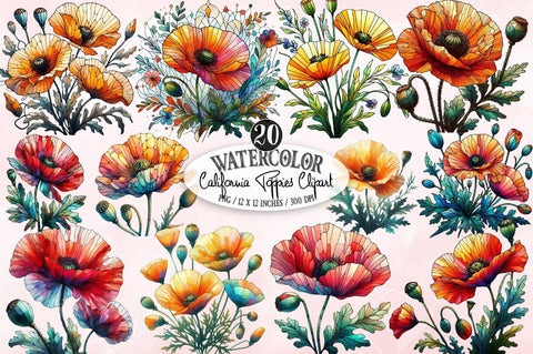 Watercolor California Poppies Clipart Sublimation SVGista 