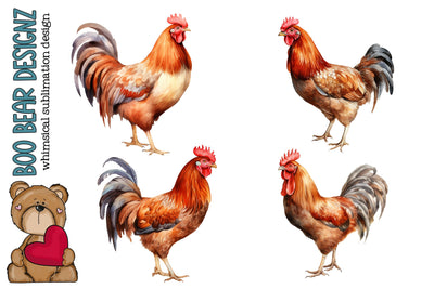 Watercolor Chicken Clipart Sublimation Boo Bear Designz 