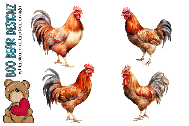 Watercolor Chicken Clipart Sublimation Boo Bear Designz 
