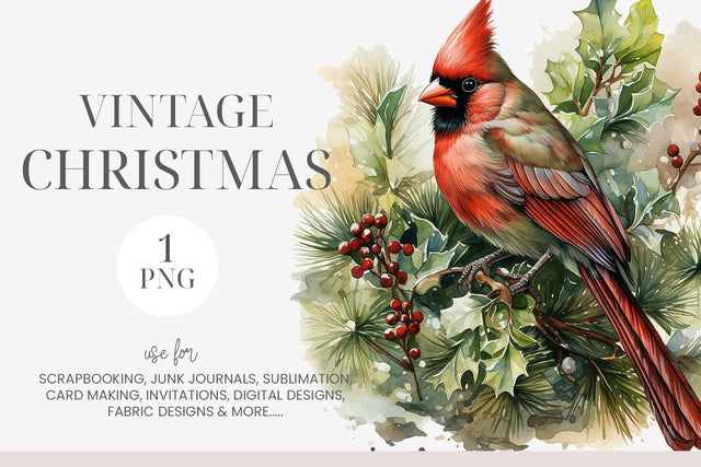 Watercolor Christmas Cardinal Clipart Sublimation BijouBay 
