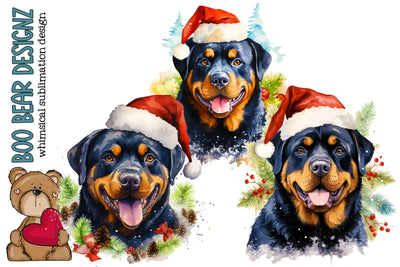 Watercolor Christmas Rottweiler Clipart Sublimation Boo Bear Designz 