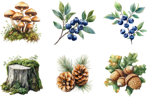 Watercolor Cute forests Clipart Sublimation SVGista 
