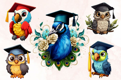 Watercolor Cute Graduation Birds Stickers Bundle Sublimation Designangry 