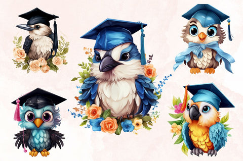Watercolor Cute Graduation Birds Stickers Bundle Sublimation Designangry 
