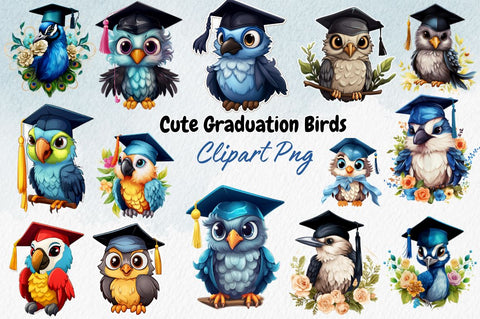 Watercolor Cute Graduation Birds Stickers Bundle Sublimation Designangry 