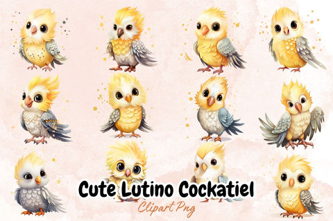 Watercolor Cute Lutino Cockatiel Clipart Bundle Sublimation Designangry 