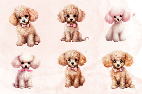 Watercolor Cute Poodle Sublimation Clipart Bundle Sublimation Designangry 