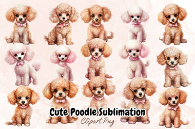 Watercolor Cute Poodle Sublimation Clipart Bundle Sublimation Designangry 