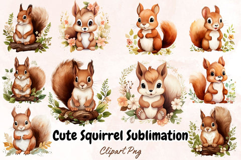 Watercolor Cute Squirrel Sublimation Clipart Bundle Sublimation Designangry 