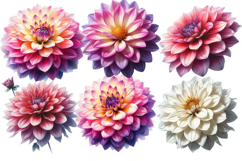 Watercolor Dahlia Clipart Sublimation Rupkotha 
