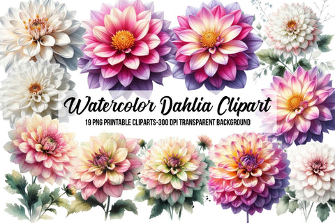 Watercolor Dahlia Clipart Sublimation Rupkotha 