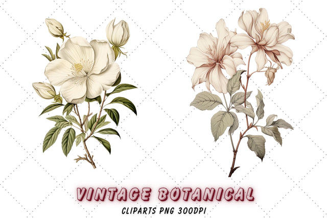 Watercolor Floral Clipart - Garden Botanical Clipart - Botanical Clipart - Wedding Clipart - Wild Flowers - Summer Clipart - Floral Clipart Sublimation FloridPrintables 