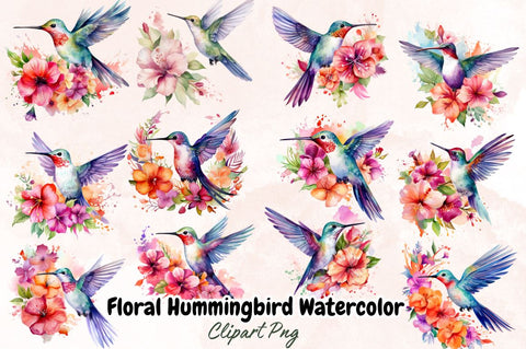 Watercolor Floral Hummingbird Clipart bundle Sublimation Designangry 