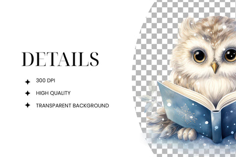 Watercolor Fluffy Owl Reading Clipart PNG Sublimation BijouBay 