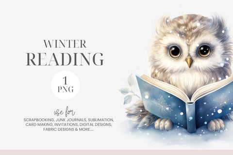 Watercolor Fluffy Owl Reading Clipart PNG Sublimation BijouBay 
