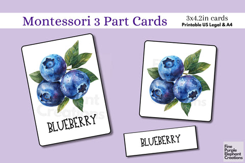 Watercolor Fruit Flashcards | Preschool Montessori Cards Digital Pattern Fine Purple Elephant Creations 